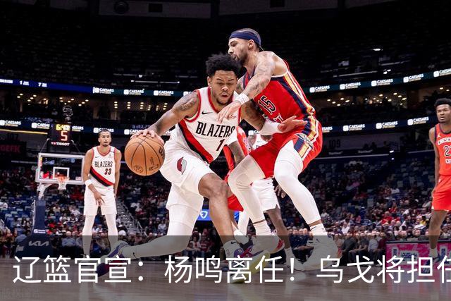 辽篮官宣：杨鸣离任！乌戈将担任辽宁男篮主帅